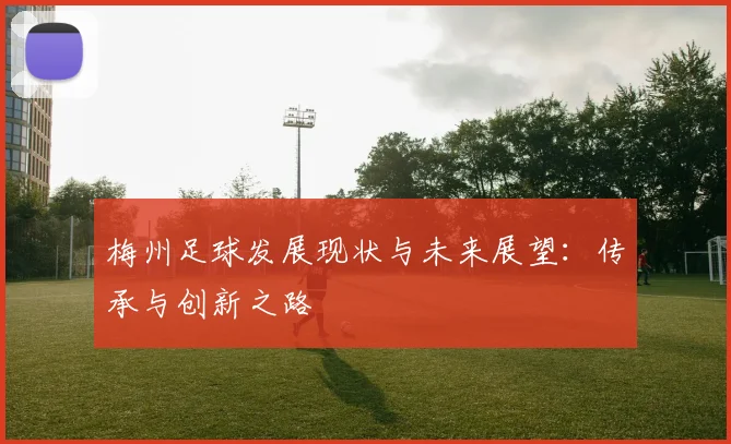 梅州足球发展现状与未来展望:传承与创新之路